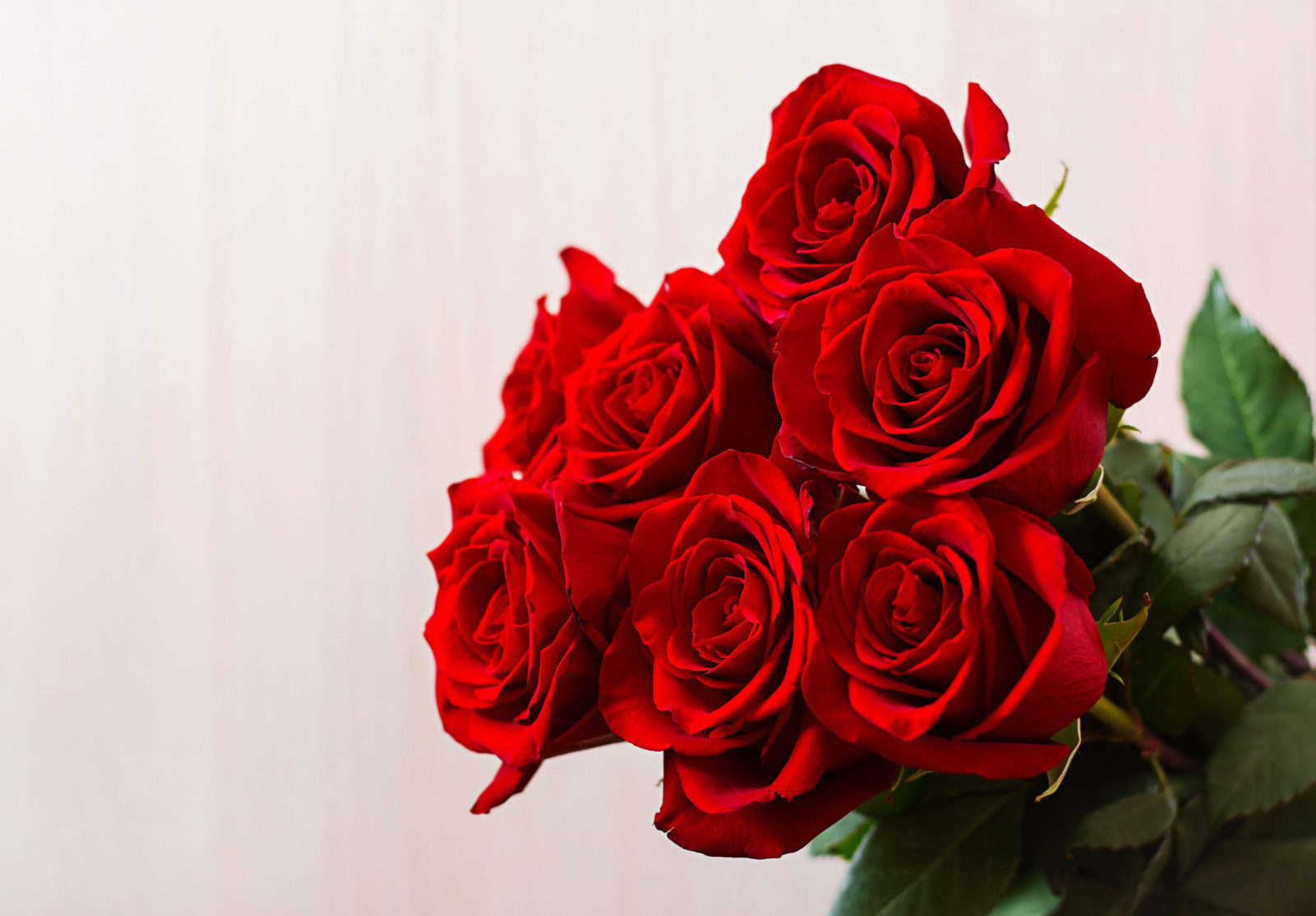 Rosas, una opción clásica para regalar el día de la madre.
